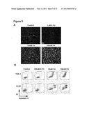 METHOD OF TREATING ACUTE MYELOGENOUS LEUKEMIA diagram and image