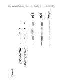 METHOD OF TREATING ACUTE MYELOGENOUS LEUKEMIA diagram and image