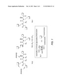 GLYCOSYLATED SPECIFICITY EXCHANGERS diagram and image