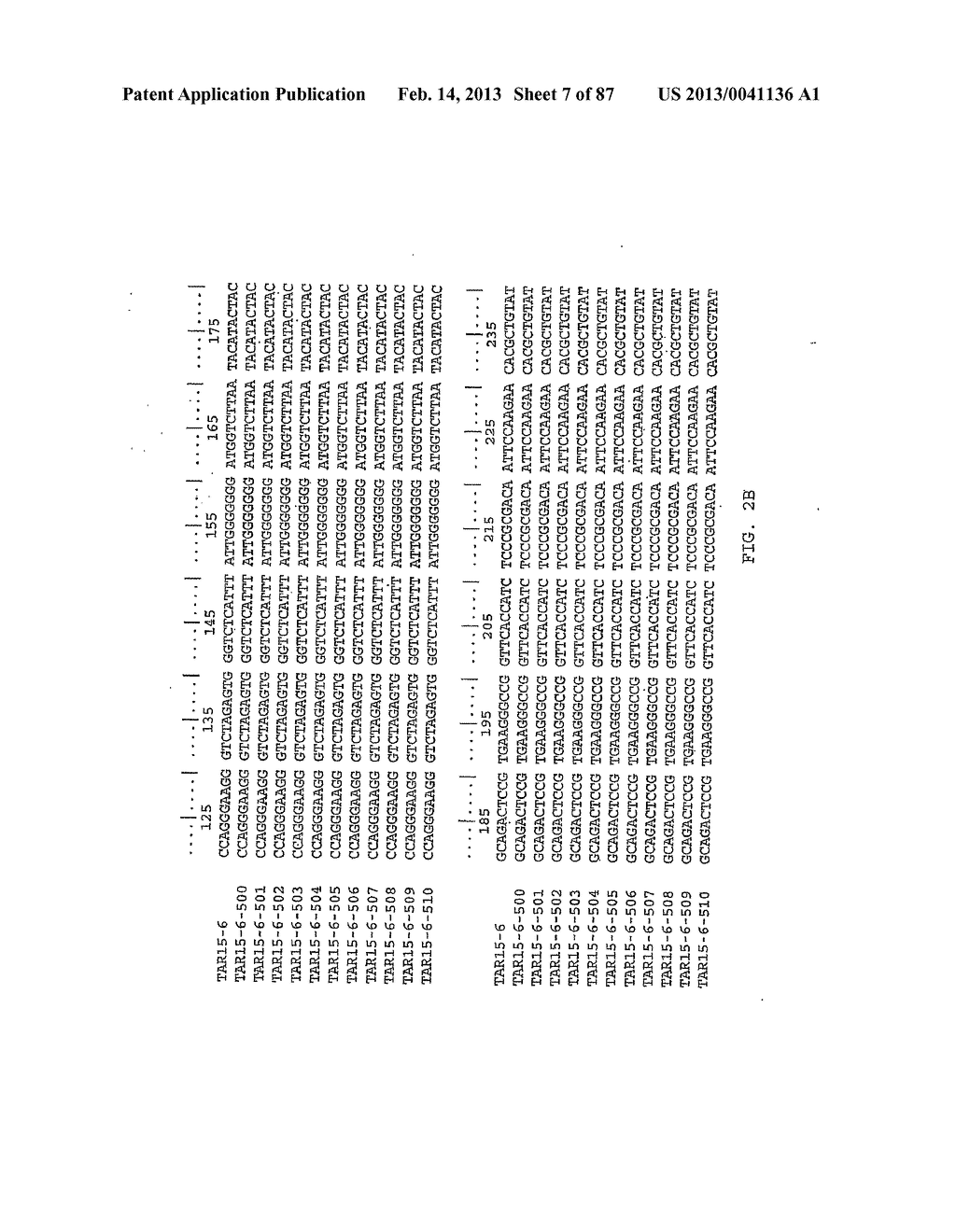 LIGANDS THAT HAVE BINDING SPECIFICITY FOR EGFR AND/OR VEGF AND METHODS OF     USE THEREFOR - diagram, schematic, and image 08