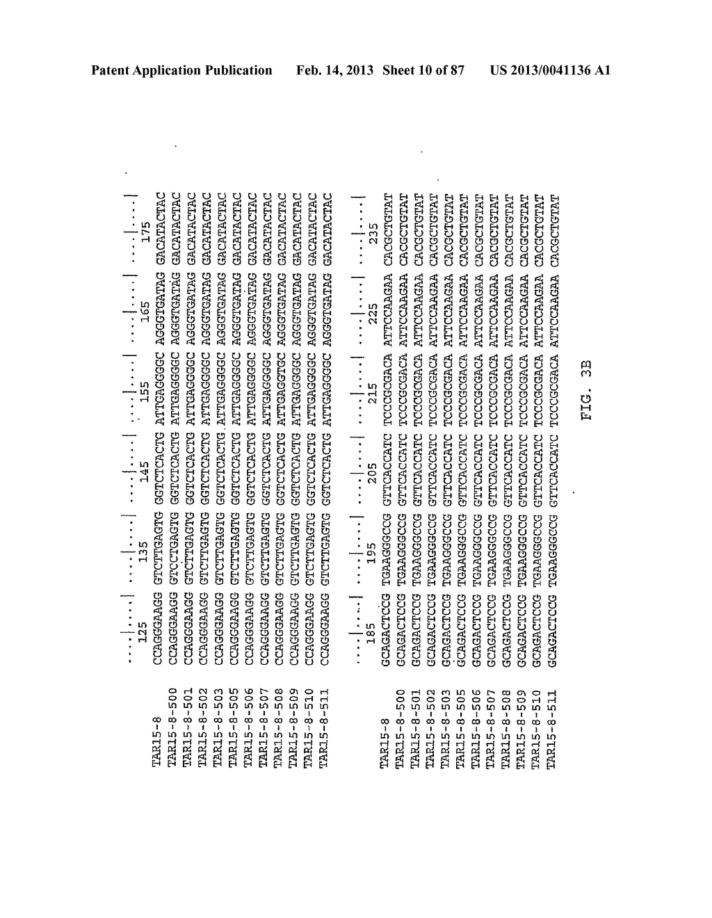 LIGANDS THAT HAVE BINDING SPECIFICITY FOR EGFR AND/OR VEGF AND METHODS OF     USE THEREFOR - diagram, schematic, and image 11