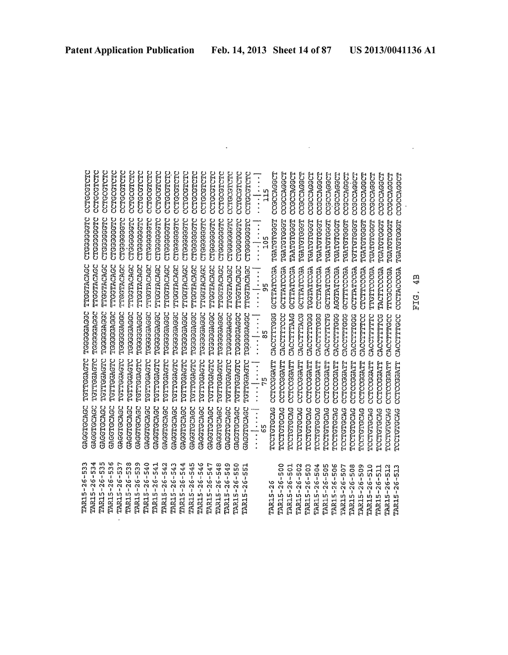 LIGANDS THAT HAVE BINDING SPECIFICITY FOR EGFR AND/OR VEGF AND METHODS OF     USE THEREFOR - diagram, schematic, and image 15