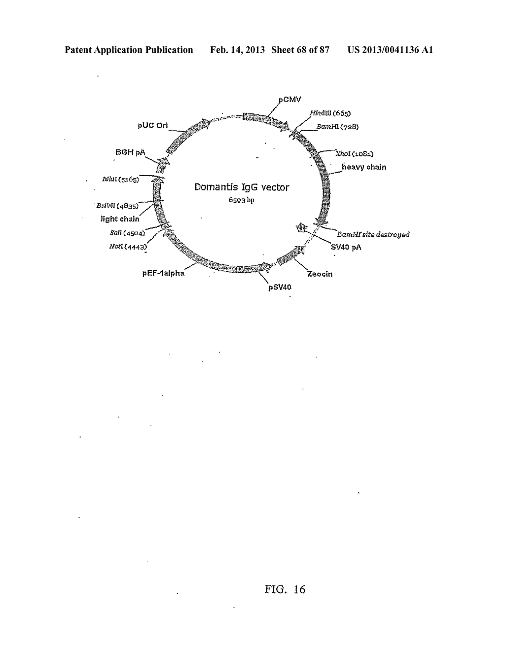 LIGANDS THAT HAVE BINDING SPECIFICITY FOR EGFR AND/OR VEGF AND METHODS OF     USE THEREFOR - diagram, schematic, and image 69