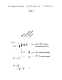 von Willebrand Factor (vWF) - Cleaving Protease diagram and image