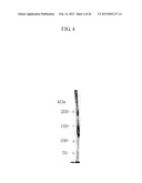 von Willebrand Factor (vWF) - Cleaving Protease diagram and image