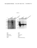 von Willebrand Factor (vWF) - Cleaving Protease diagram and image