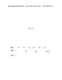 von Willebrand Factor (vWF) - Cleaving Protease diagram and image