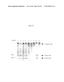 von Willebrand Factor (vWF) - Cleaving Protease diagram and image