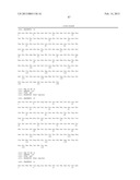 ANTIBODIES THAT BIND TO PSCA PROTEINS FOR DIAGNOSIS OF CANCER diagram and image