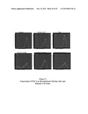 ANTIBODIES THAT BIND TO PSCA PROTEINS FOR DIAGNOSIS OF CANCER diagram and image