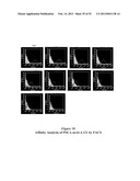 ANTIBODIES THAT BIND TO PSCA PROTEINS FOR DIAGNOSIS OF CANCER diagram and image