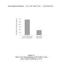 ANTIBODIES THAT BIND TO PSCA PROTEINS FOR DIAGNOSIS OF CANCER diagram and image