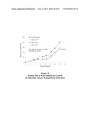 ANTIBODIES THAT BIND TO PSCA PROTEINS FOR DIAGNOSIS OF CANCER diagram and image