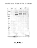 Preparation and/or Purification of Oligonucleotide Conjugates diagram and image