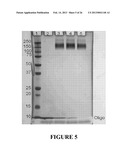 Preparation and/or Purification of Oligonucleotide Conjugates diagram and image