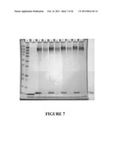 Preparation and/or Purification of Oligonucleotide Conjugates diagram and image