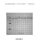 Preparation and/or Purification of Oligonucleotide Conjugates diagram and image