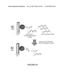 Preparation and/or Purification of Oligonucleotide Conjugates diagram and image