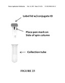 Preparation and/or Purification of Oligonucleotide Conjugates diagram and image