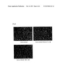 HUMAN SWEET TASTE RECEPTOR-ACTING SWEET TASTE REGULATING SUBSTANCE TO     SWEET TASTE SUBSTANCE diagram and image