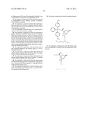 5 -SUBSTITUTED BICYCLIC NUCLEOSIDES AND OLIGOMERIC COMPOUNDS PREPARED     THEREFROM diagram and image