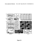 Flexible and Stretchable Electronic Systems for Epidermal Electronics diagram and image