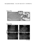 Flexible and Stretchable Electronic Systems for Epidermal Electronics diagram and image