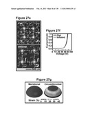 Flexible and Stretchable Electronic Systems for Epidermal Electronics diagram and image