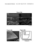 Flexible and Stretchable Electronic Systems for Epidermal Electronics diagram and image