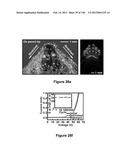 Flexible and Stretchable Electronic Systems for Epidermal Electronics diagram and image