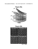 Flexible and Stretchable Electronic Systems for Epidermal Electronics diagram and image