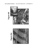 Flexible and Stretchable Electronic Systems for Epidermal Electronics diagram and image