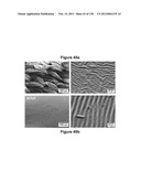 Flexible and Stretchable Electronic Systems for Epidermal Electronics diagram and image