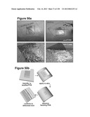 Flexible and Stretchable Electronic Systems for Epidermal Electronics diagram and image