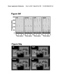 Flexible and Stretchable Electronic Systems for Epidermal Electronics diagram and image