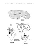 Robotic Lawn Mower with Network Sensors diagram and image