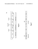 Cache Management Including Solid State Device Virtualization diagram and image