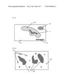 SYSTEM AND APPARATUS FOR THE CALIBRATION AND MANAGEMENT OF COLOR IN     MICROSCOPE SLIDES diagram and image