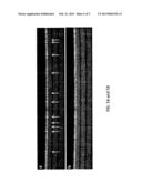 OPTICAL COHERENCE TOMOGRAPHY SYSTEM HAVING REAL-TIME ARTIFACT AND     SATURATION CORRECTION diagram and image