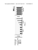 METHOD AND APPARATUS FOR PROTECTING WIRELESS MEDIA STREAMS diagram and image