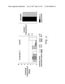 METHOD AND APPARATUS FOR PROTECTING WIRELESS MEDIA STREAMS diagram and image