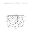 SYSTEM AND METHOD FOR SECTIONING A MICROSCOPY IMAGE FOR PARALLEL     PROCESSING diagram and image