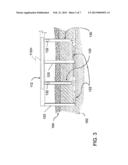 METHOD AND APPARATUS FOR REMEDIATING ORGANIC LOADING OF MARINE SEDIMENTS diagram and image