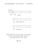 VACCINES, IMMUNOTHERAPEUTICS AND METHODS FOR USING THE SAME diagram and image