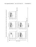 METHODS OF USING ANTI-PD-L1 ANTIBODIES AND THEIR USE TO ENHANCE T-CELL     FUNCTION TO TREAT TUMOR IMMUNITY diagram and image