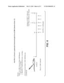 METHODS OF USING ANTI-PD-L1 ANTIBODIES AND THEIR USE TO ENHANCE T-CELL     FUNCTION TO TREAT TUMOR IMMUNITY diagram and image