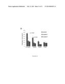 Uses of Noscapine and Derivatives in Subjects Diagnosed with FAP diagram and image