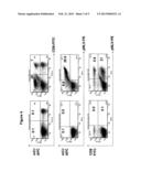 T-CELL RECEPTOR CAPABLE OF RECOGNISING AN ANTIGEN FROM CYTOMEGALOVIRUS diagram and image