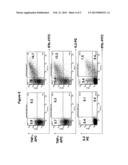 T-CELL RECEPTOR CAPABLE OF RECOGNISING AN ANTIGEN FROM CYTOMEGALOVIRUS diagram and image