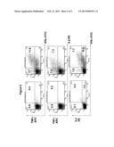 T-CELL RECEPTOR CAPABLE OF RECOGNISING AN ANTIGEN FROM CYTOMEGALOVIRUS diagram and image